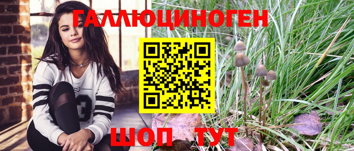Псилоцибиновые грибы прущие грибы Каменск-Шахтинский